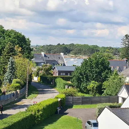 Des Fleurs D'ajoncs Concarneau