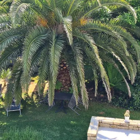 Des Fleurs D'ajoncs